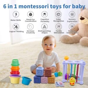 Baby Toys 6 in 1 Montessori for 6-12 Months Old