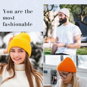 Wmcaps Winter Beanie for Men Women, Fleece Lined Beanie Soft Warm Knit Hat Ski Stocking Cuffed Cap